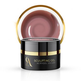 Sculpting Gel fam' cover